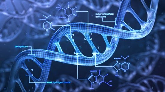 METHYLATION IMBALANCE - WHAT CAN GO WRONG?